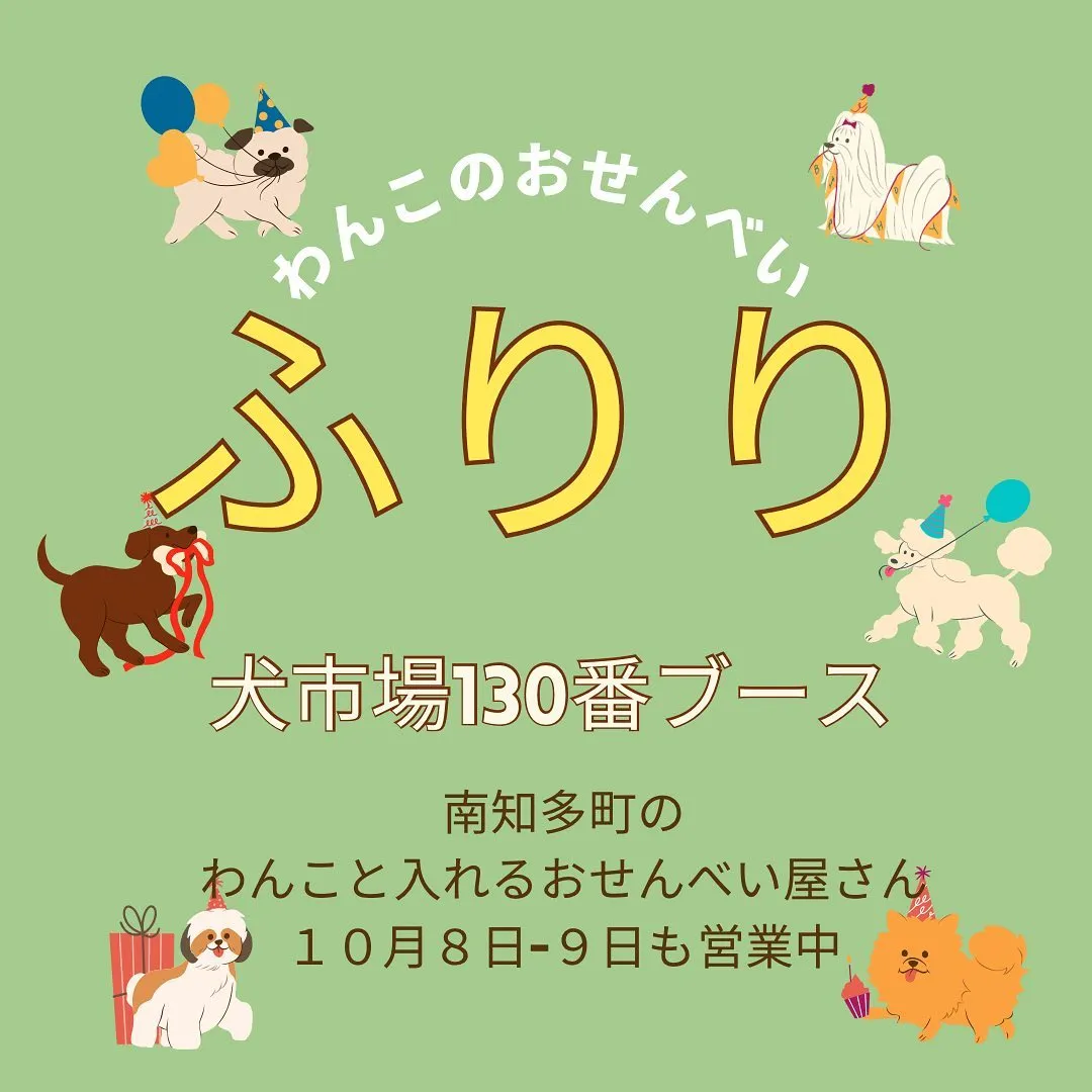 本日１０月８日は犬市場岡崎に出店します。