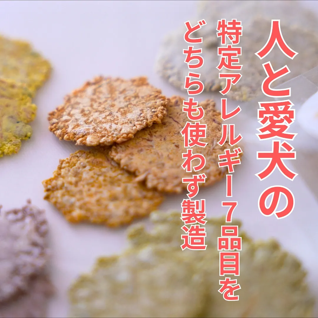 営業時間のお知らせ【愛犬と一緒に食べるおせんべい屋】