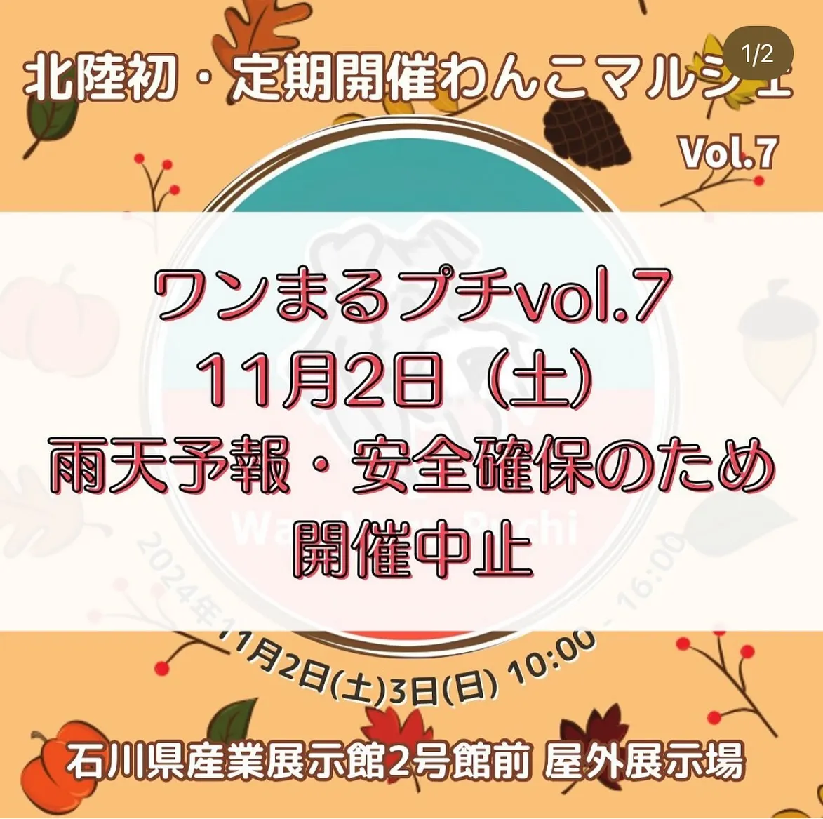 11月3日はワンまるプチに出店します♪