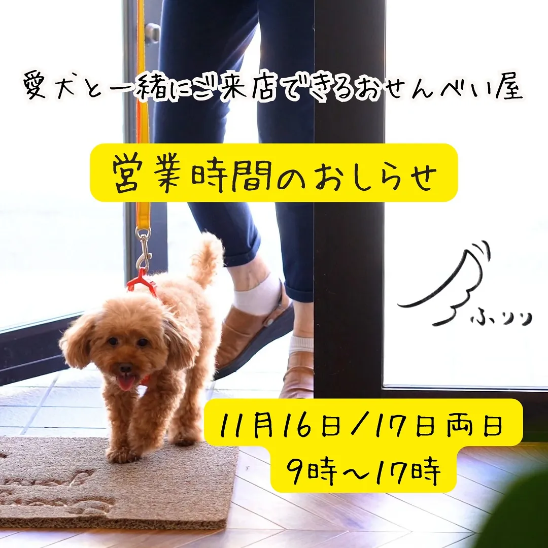 愛犬と一緒ご来店できるおせんべい屋ふりり