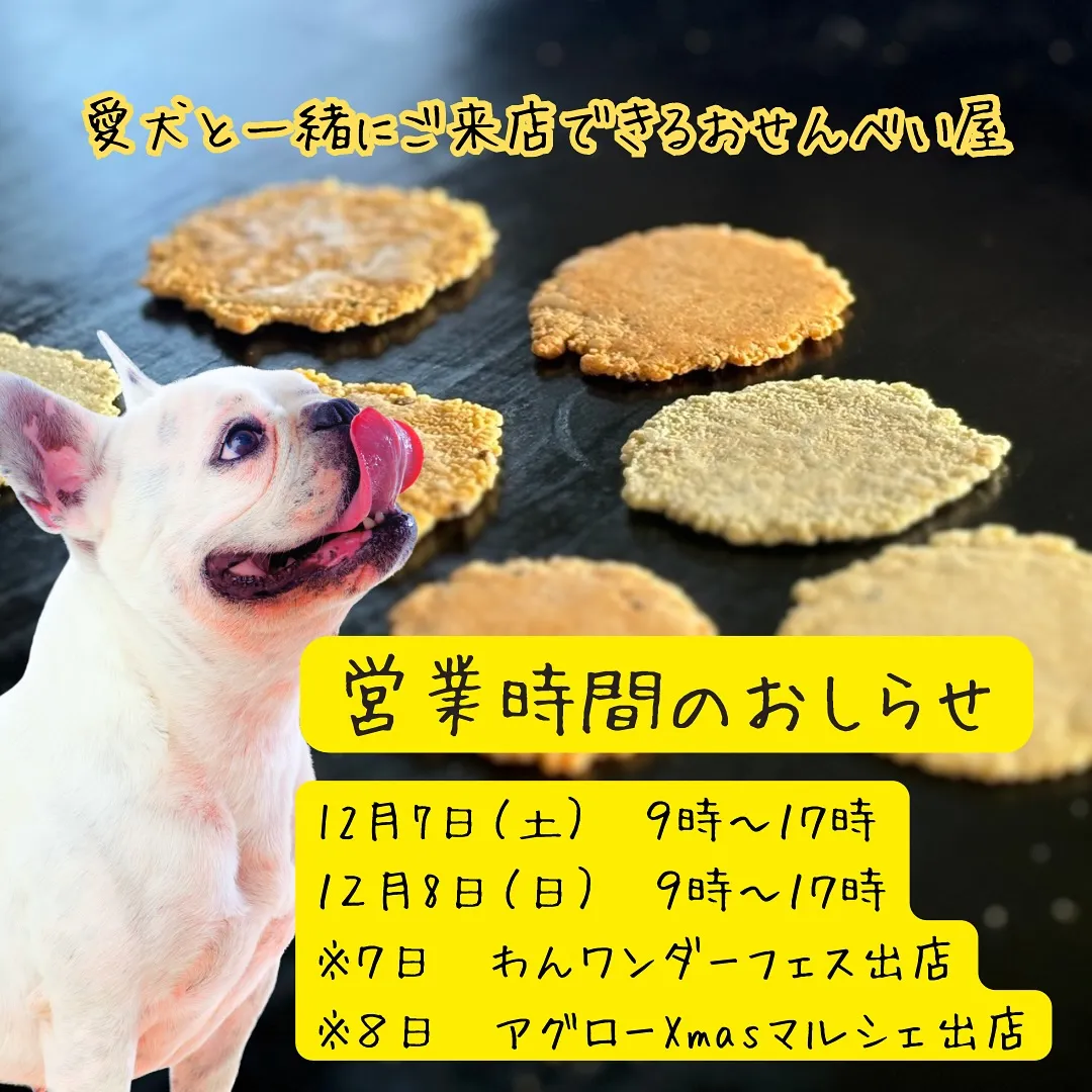 愛犬と一緒に食べるおせんべいふりり営業時間のお知らせ