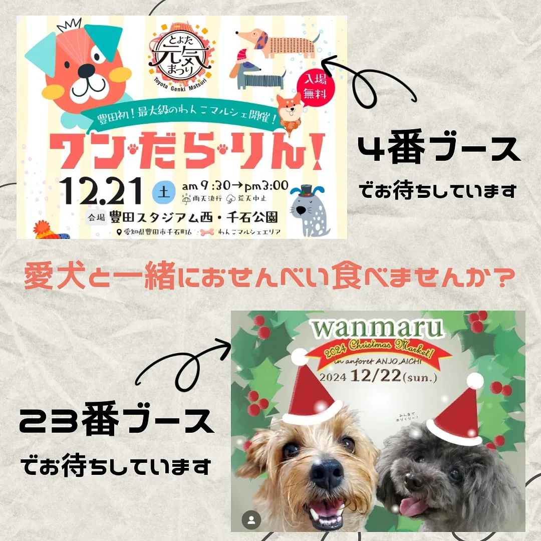 愛犬と一緒におせんべい食べませんか？