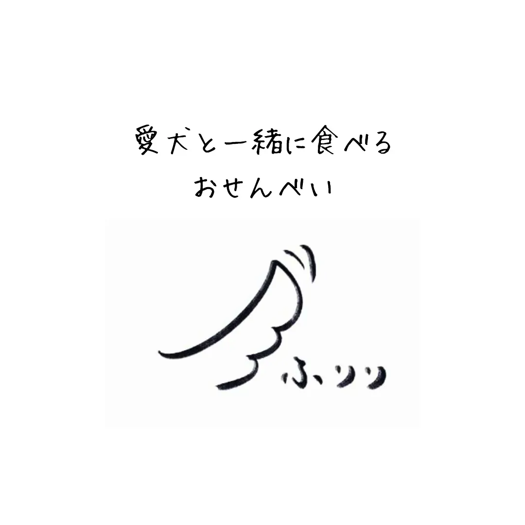 愛犬と一緒におせんべい食べませんか？