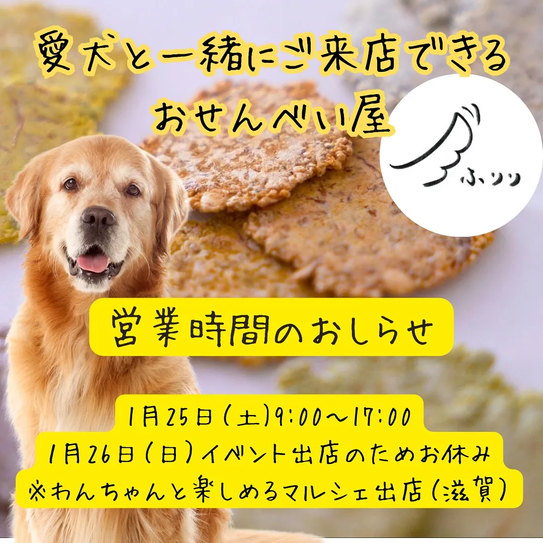 営業時間のお知らせ📢愛犬と一緒に食べるおせんべいふりり