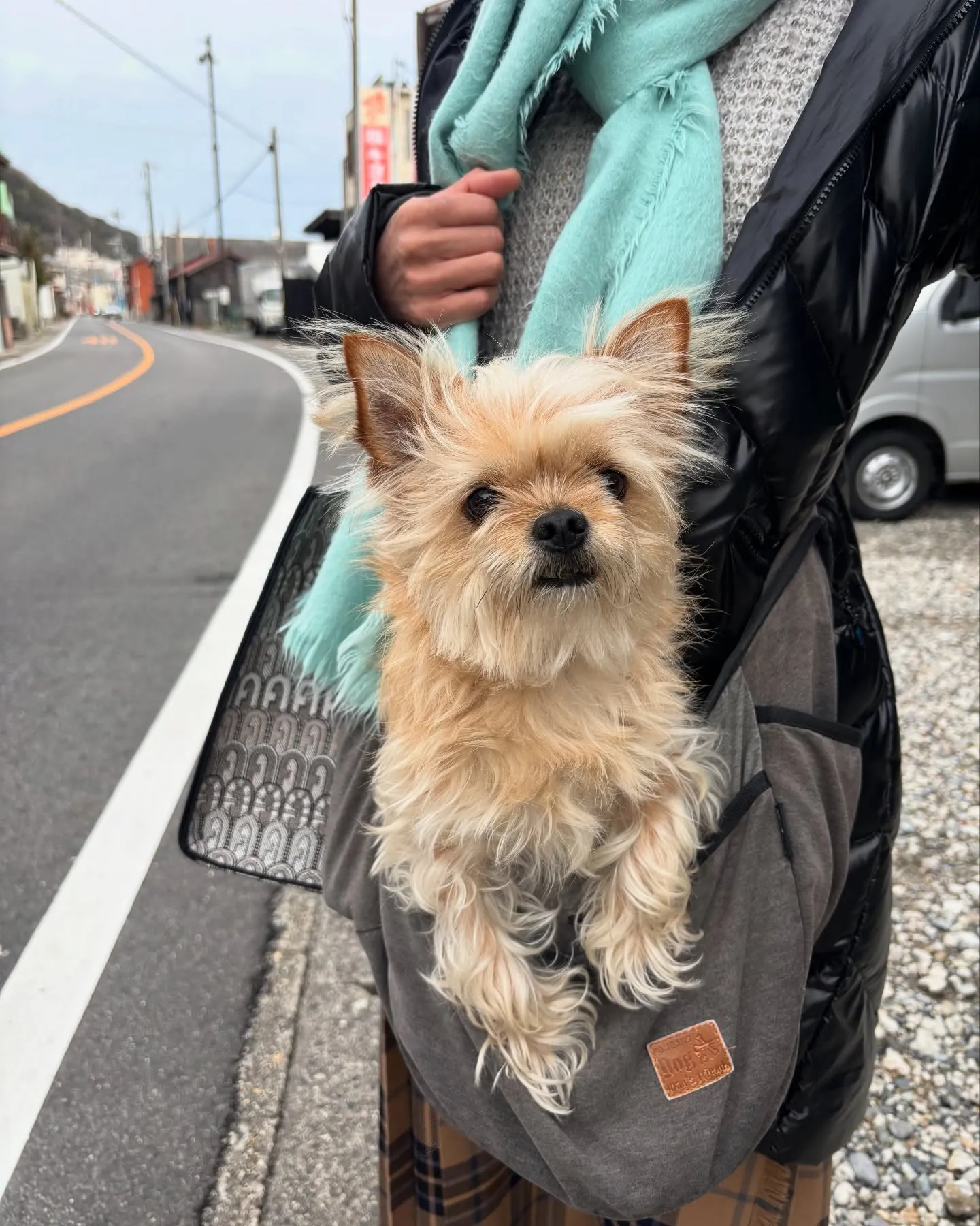 モンブランちゃん自然派おせんべいを買いに🍘