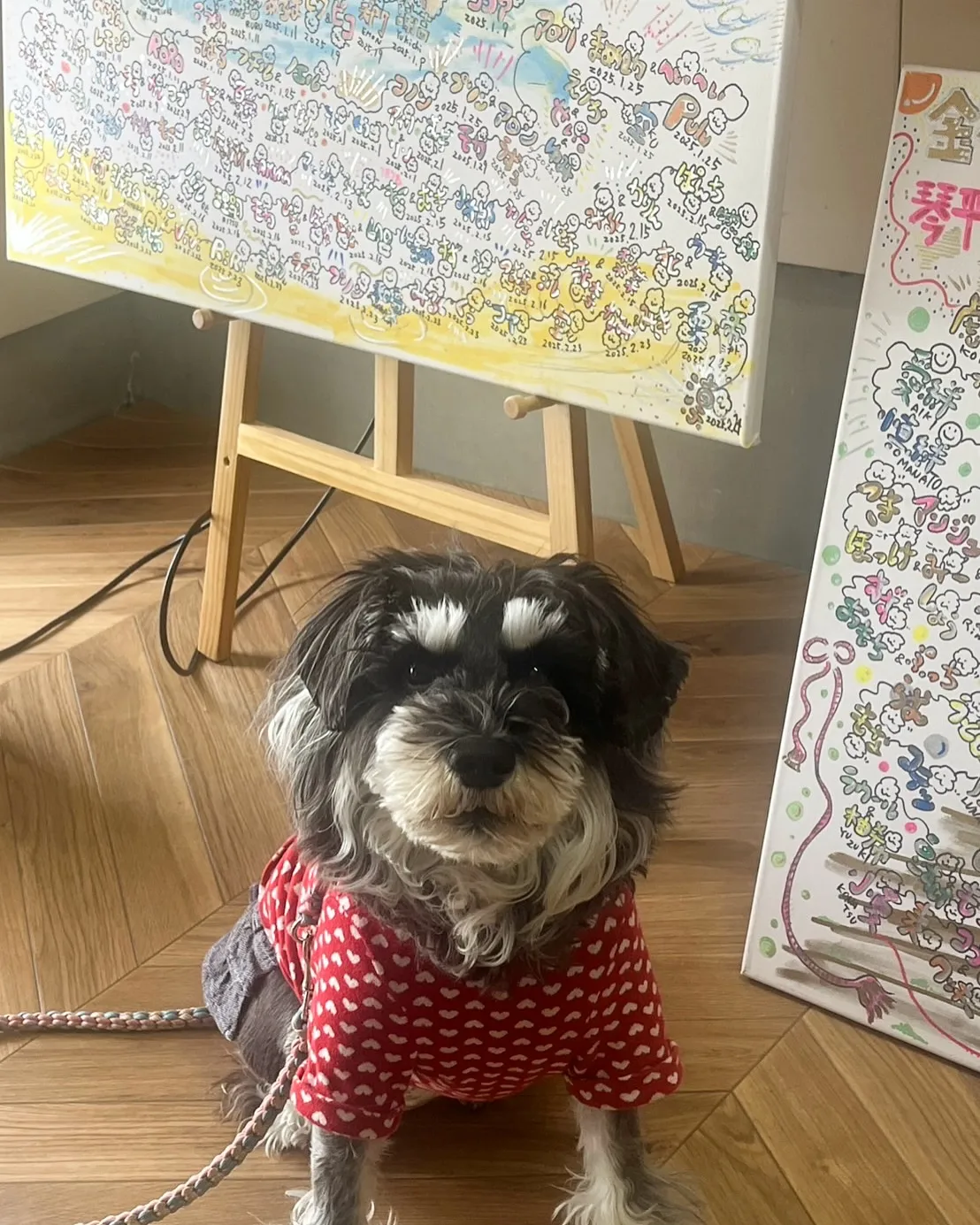 凛ちゃんご来店💕愛犬と南知多町を満喫。