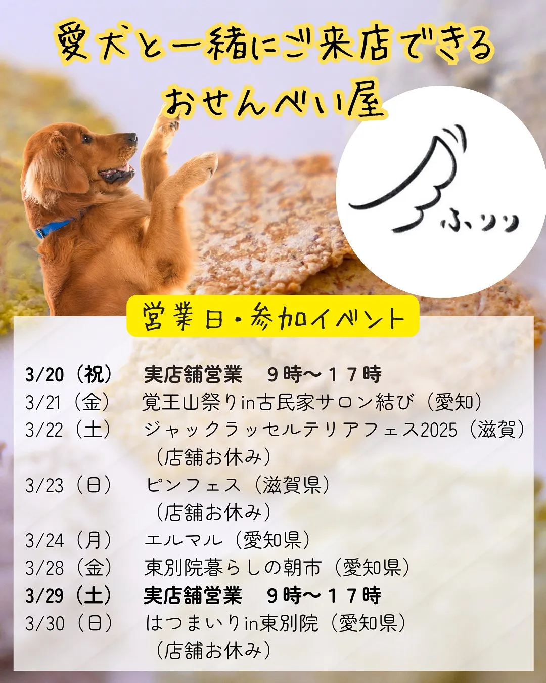 愛犬と一緒に食べるおせんべい🍘ふりり出店イベント＆実店舗営業...