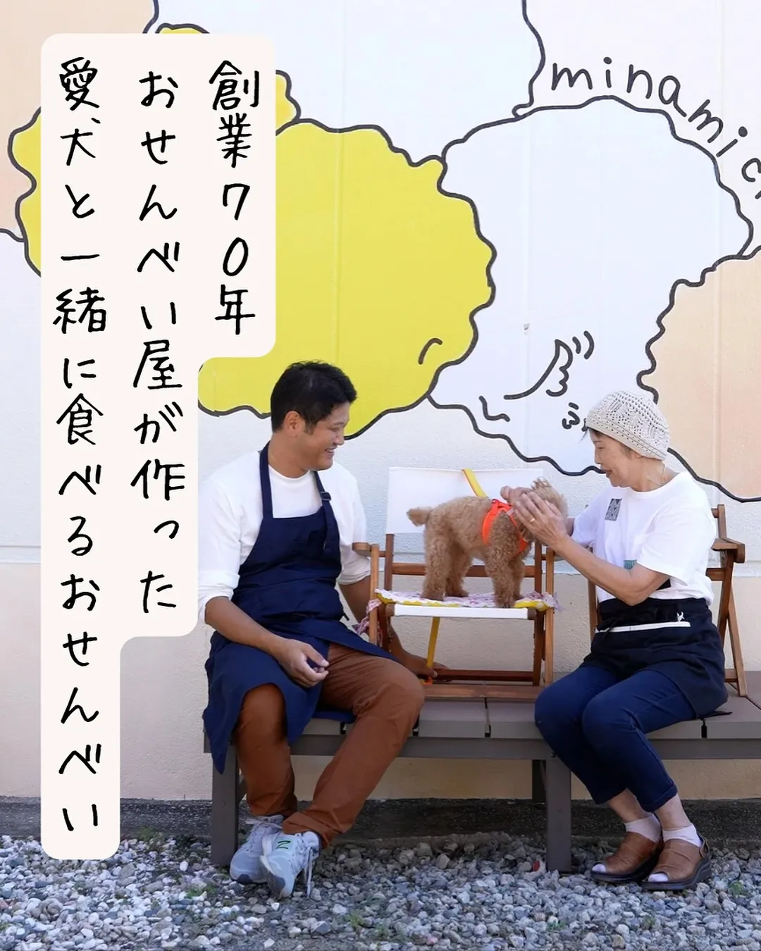 ダックスのここちゃん＆りのくんとフレブルのおもちちゃんご来店...