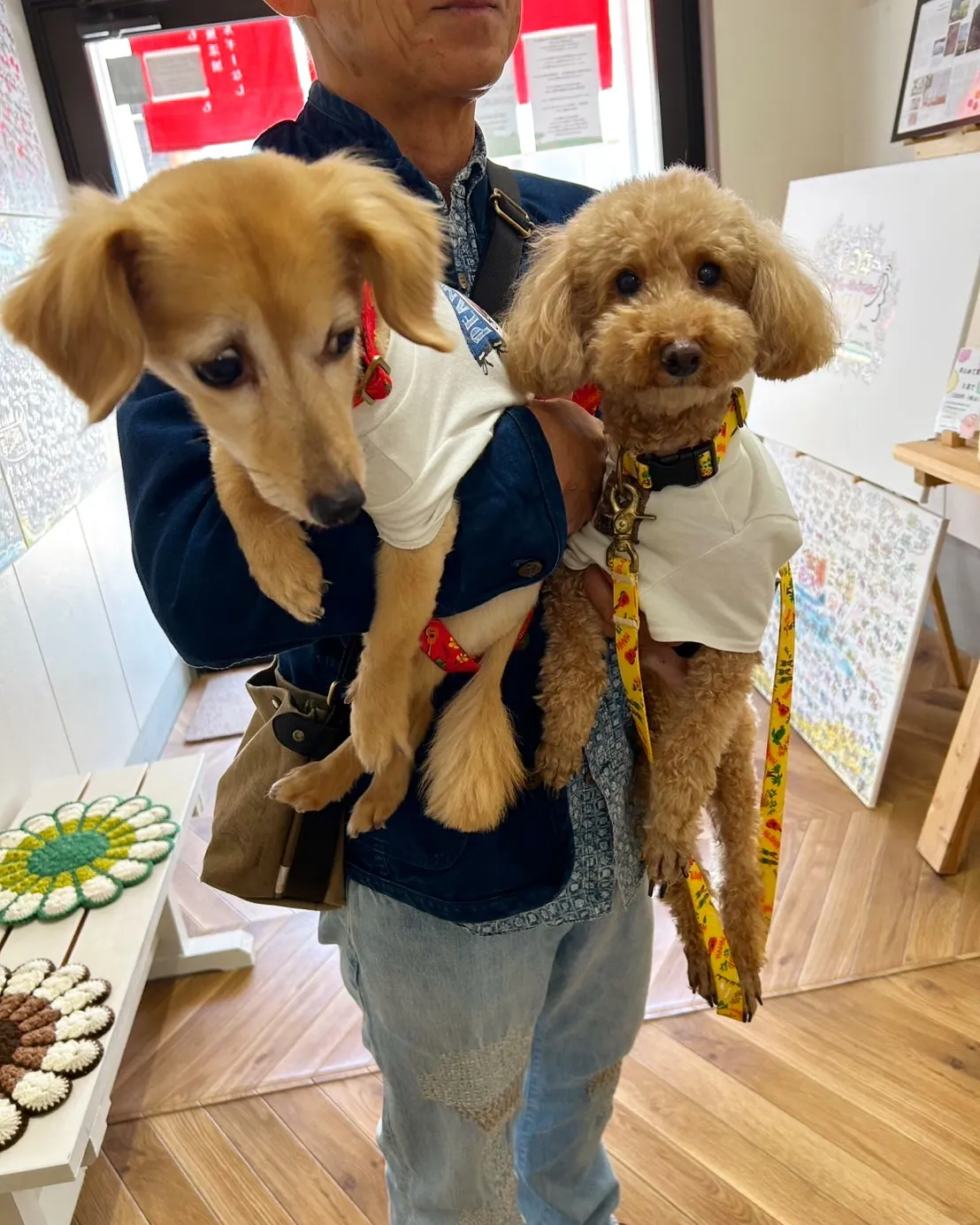 またまたご来店してくれた😀豆助くん＆アロハちゃん