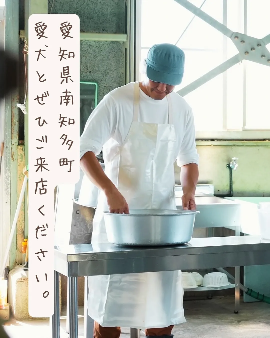 大阪からご来店のわんこ😀あずきちゃん！