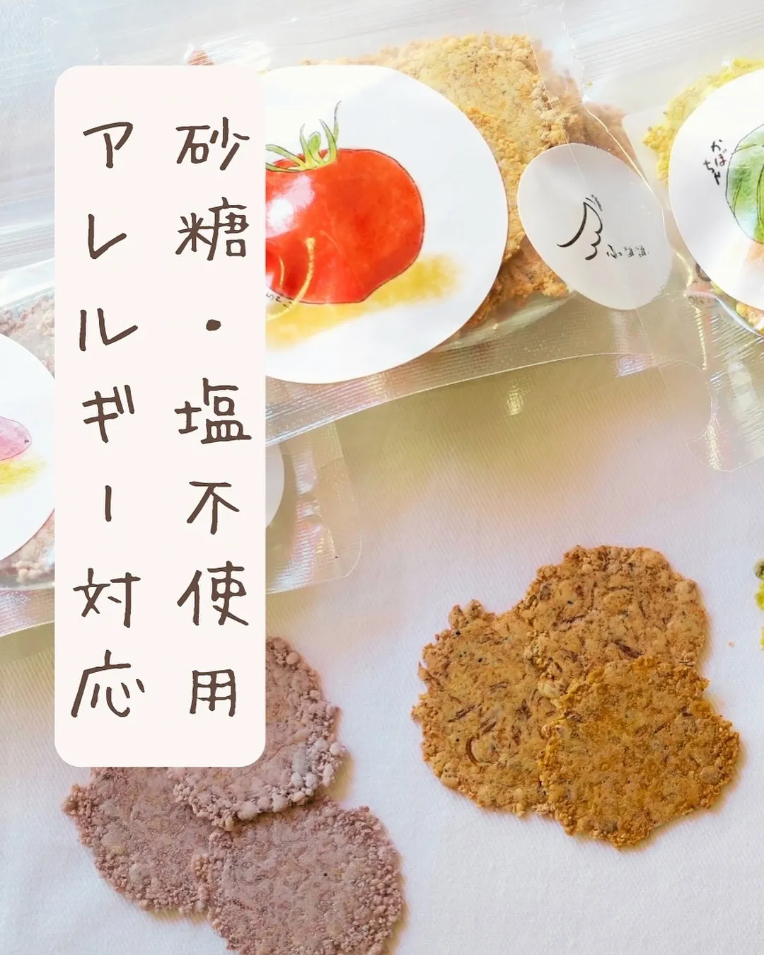 大阪からご来店のわんこ😀あずきちゃん！