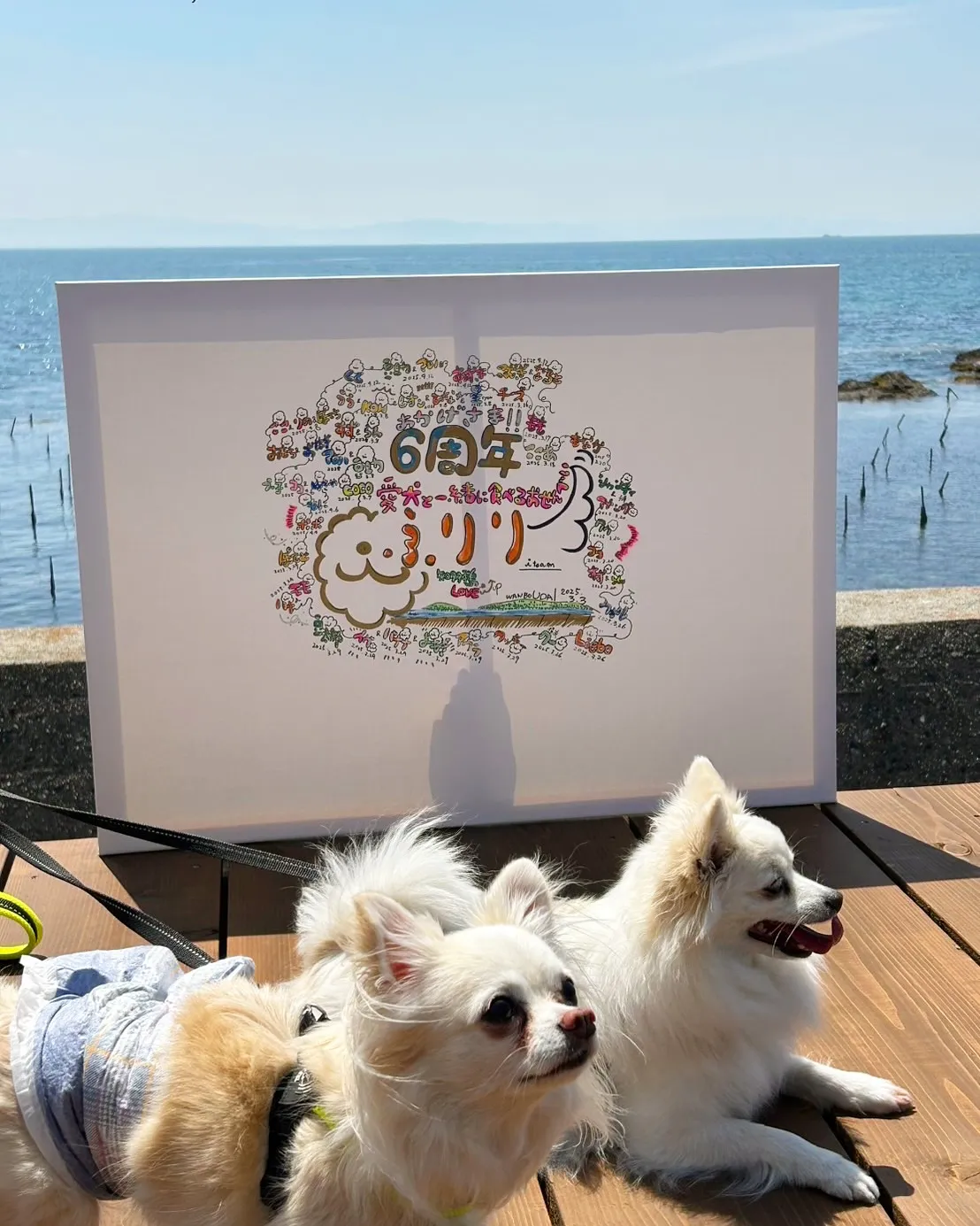 こむきちゃん＆なるとちゃんご来店😀