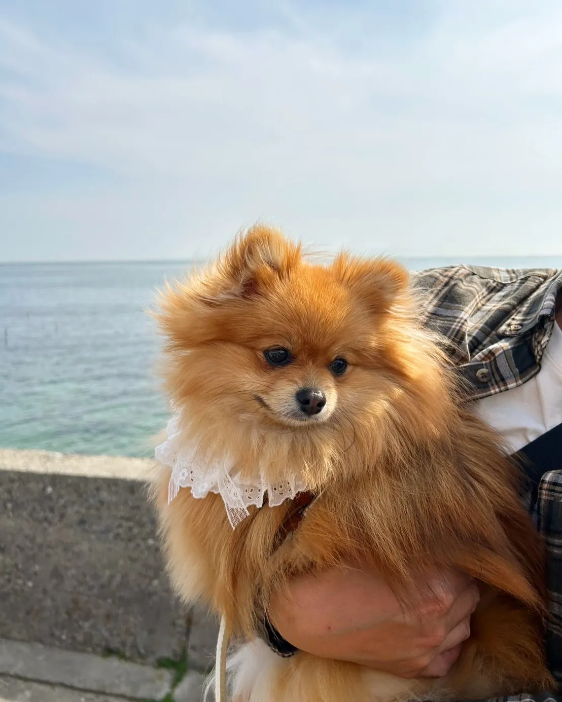 RlLUちゃんご来店です。