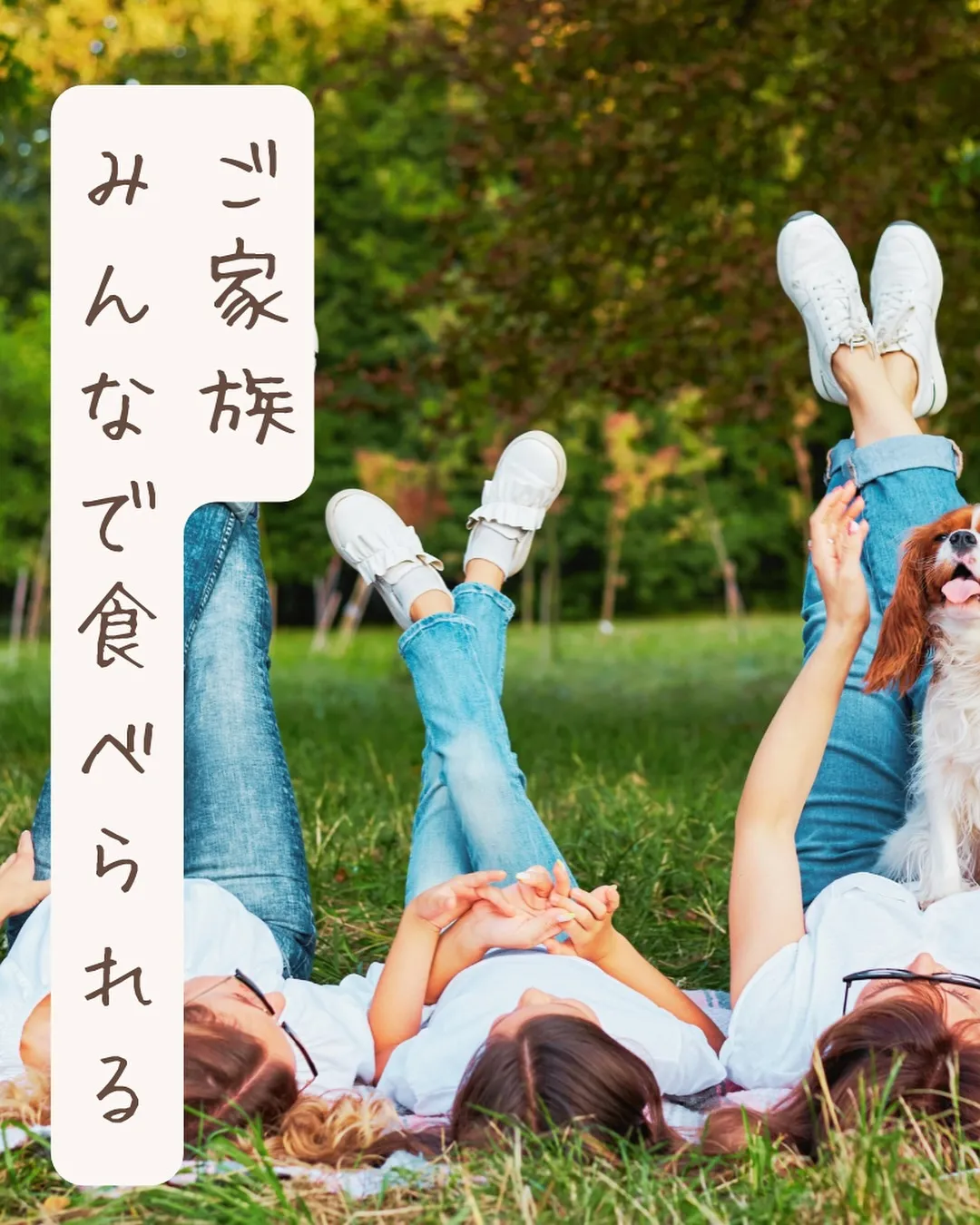 4月19日、20日石川県の人気イベント『ワンまるプチ』に愛犬...