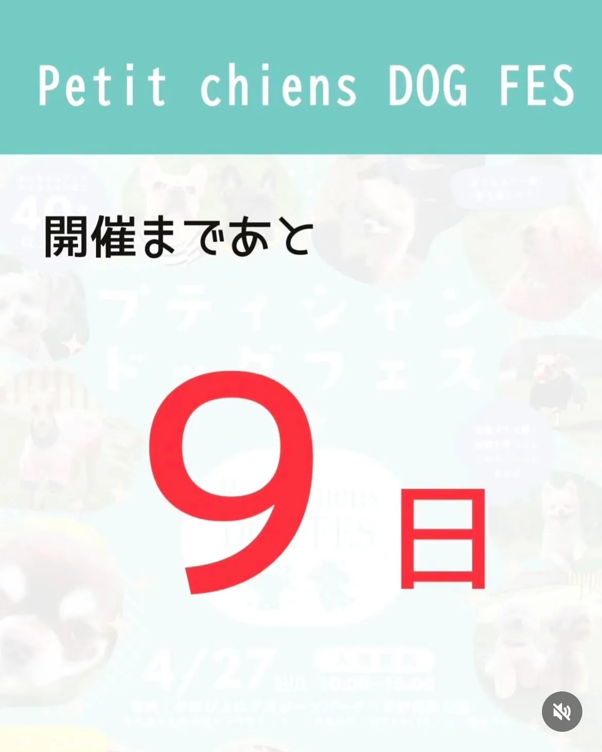知多半島LOVE犬缶バッチ🐶限定100個作成
