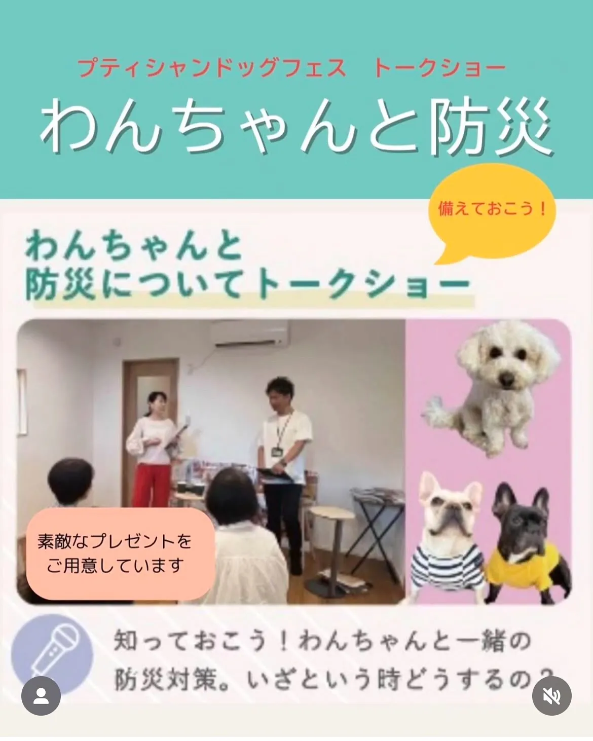 知多半島LOVE犬缶バッチ🐶限定100個作成