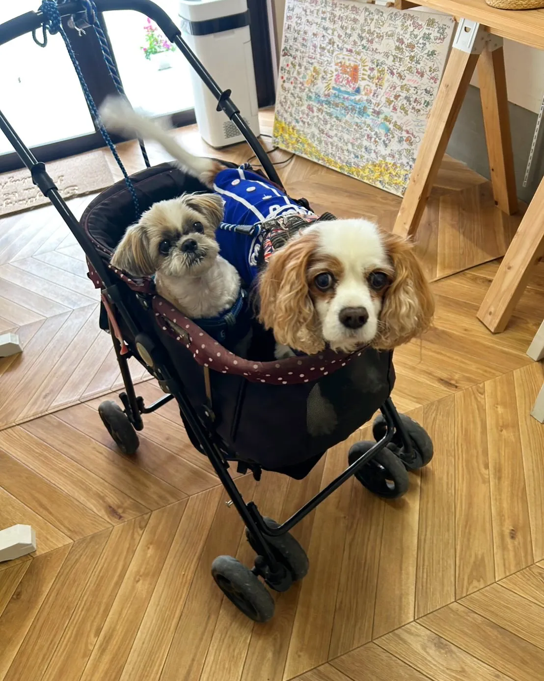 バンチくん＆りゅうのすけくんのご来店です。