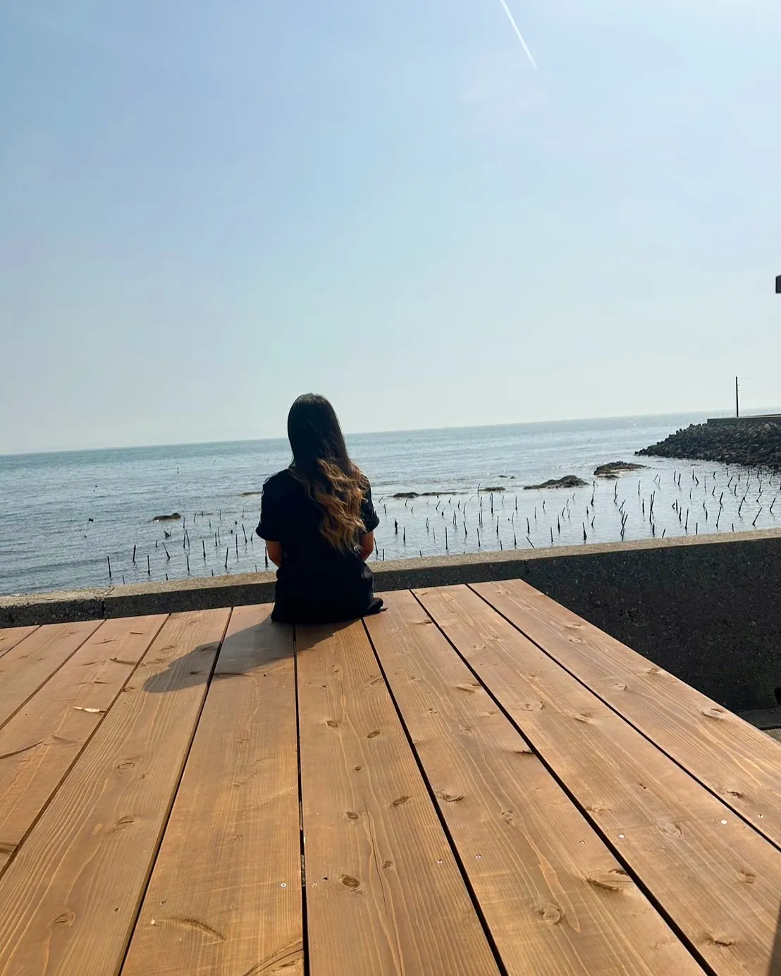 お名前アートで🎨愛犬のお名前を発見💡