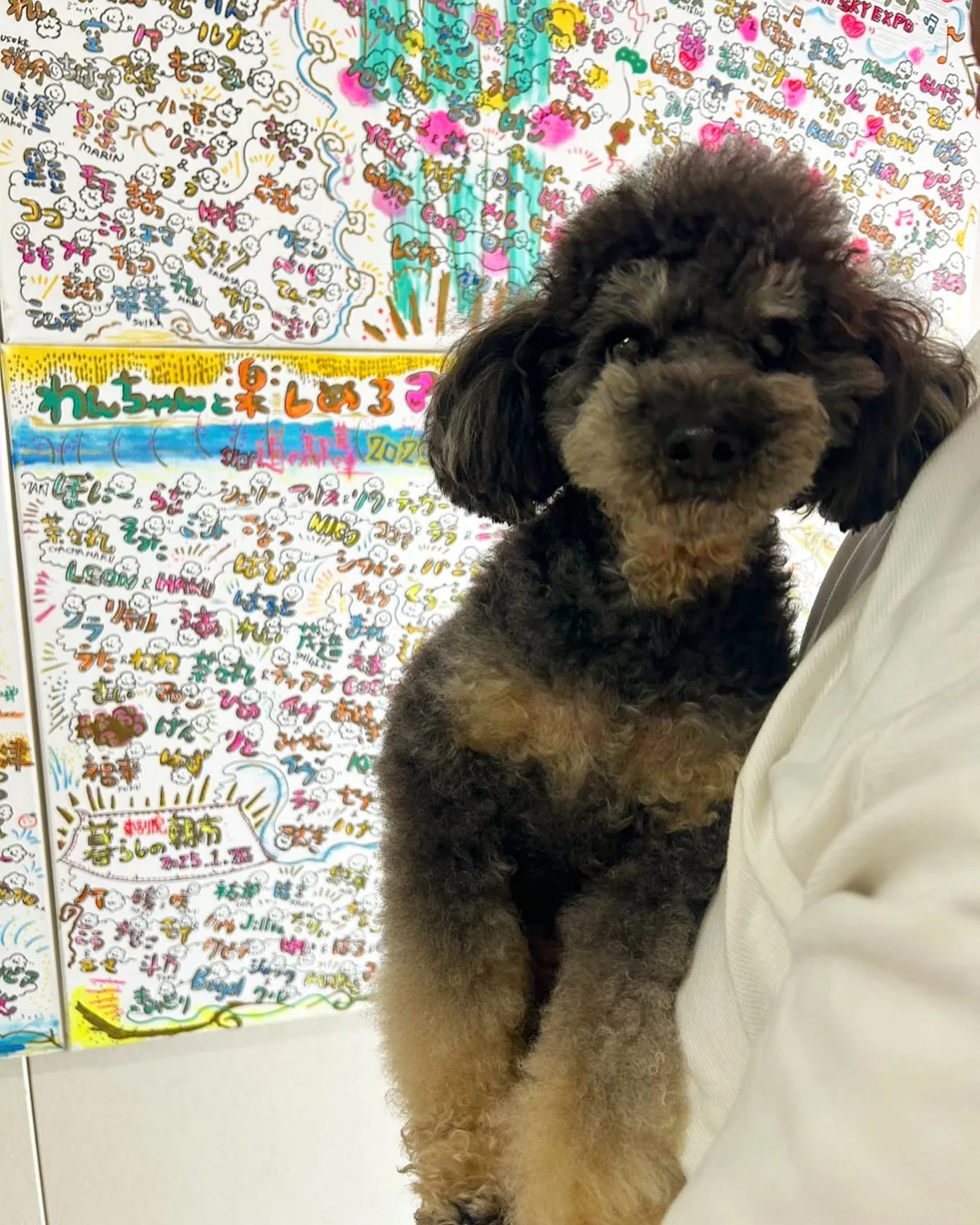 空ちゃんご来店です♪応援いっぱいありがとうございます😊