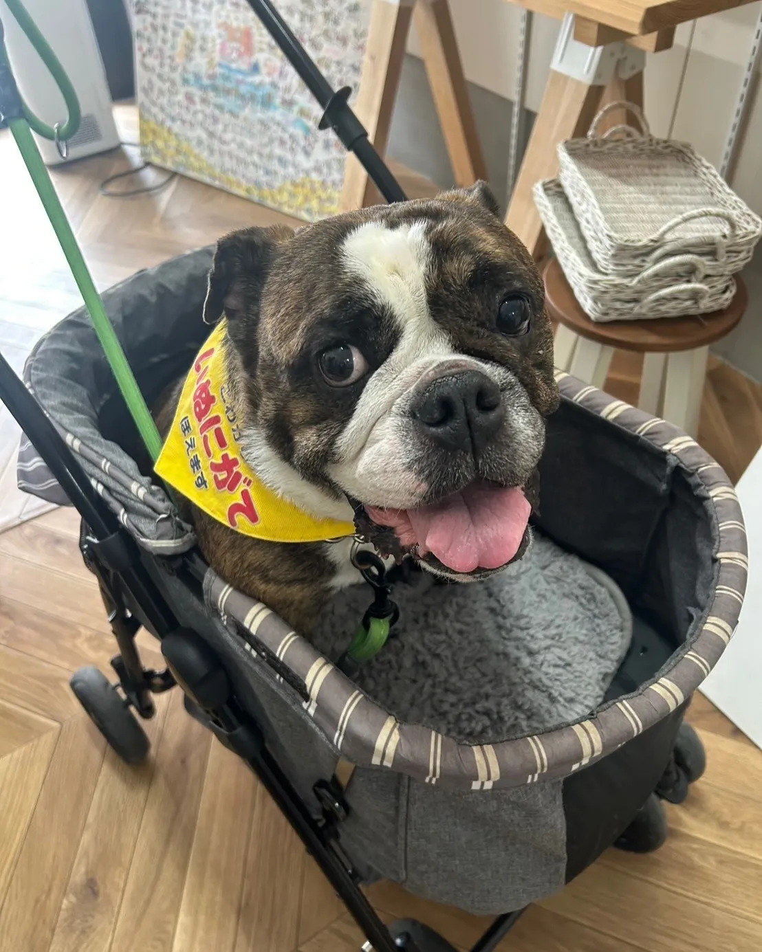 パンくん＆ういくんご来店です。