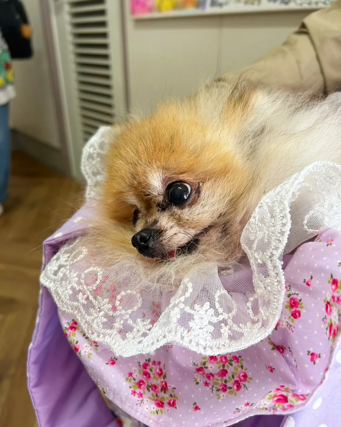 パンくん＆ういくんご来店です。