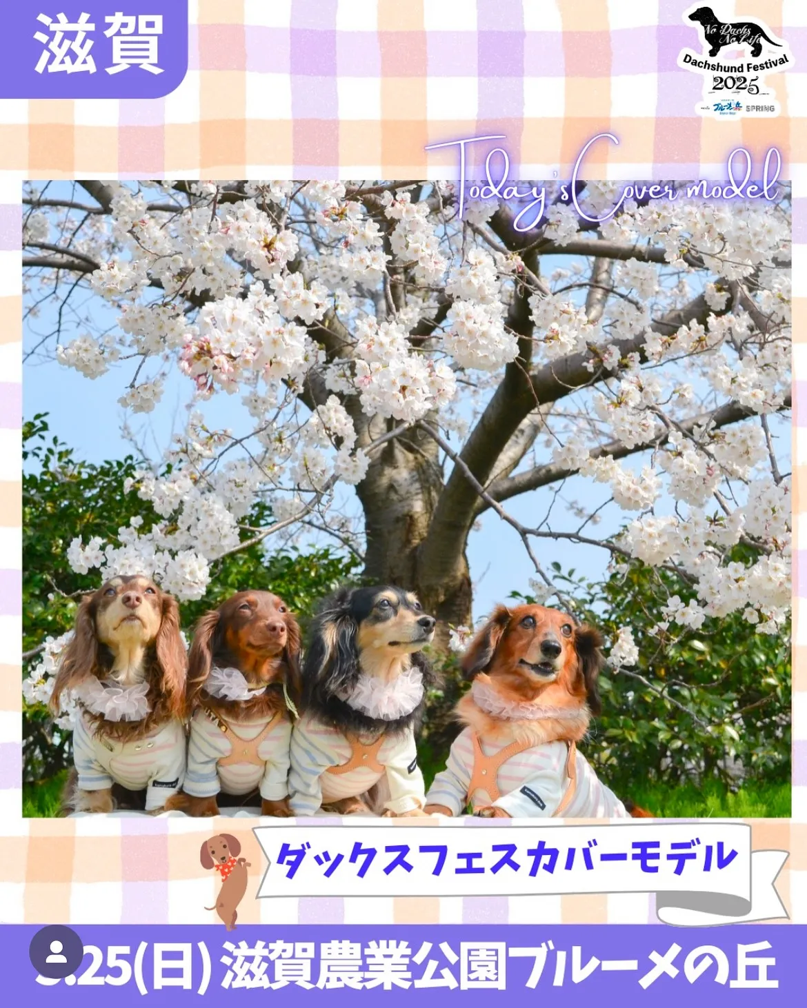 愛犬と一緒ご来店できるおせんべい屋さんふりり実店舗営業日と、...