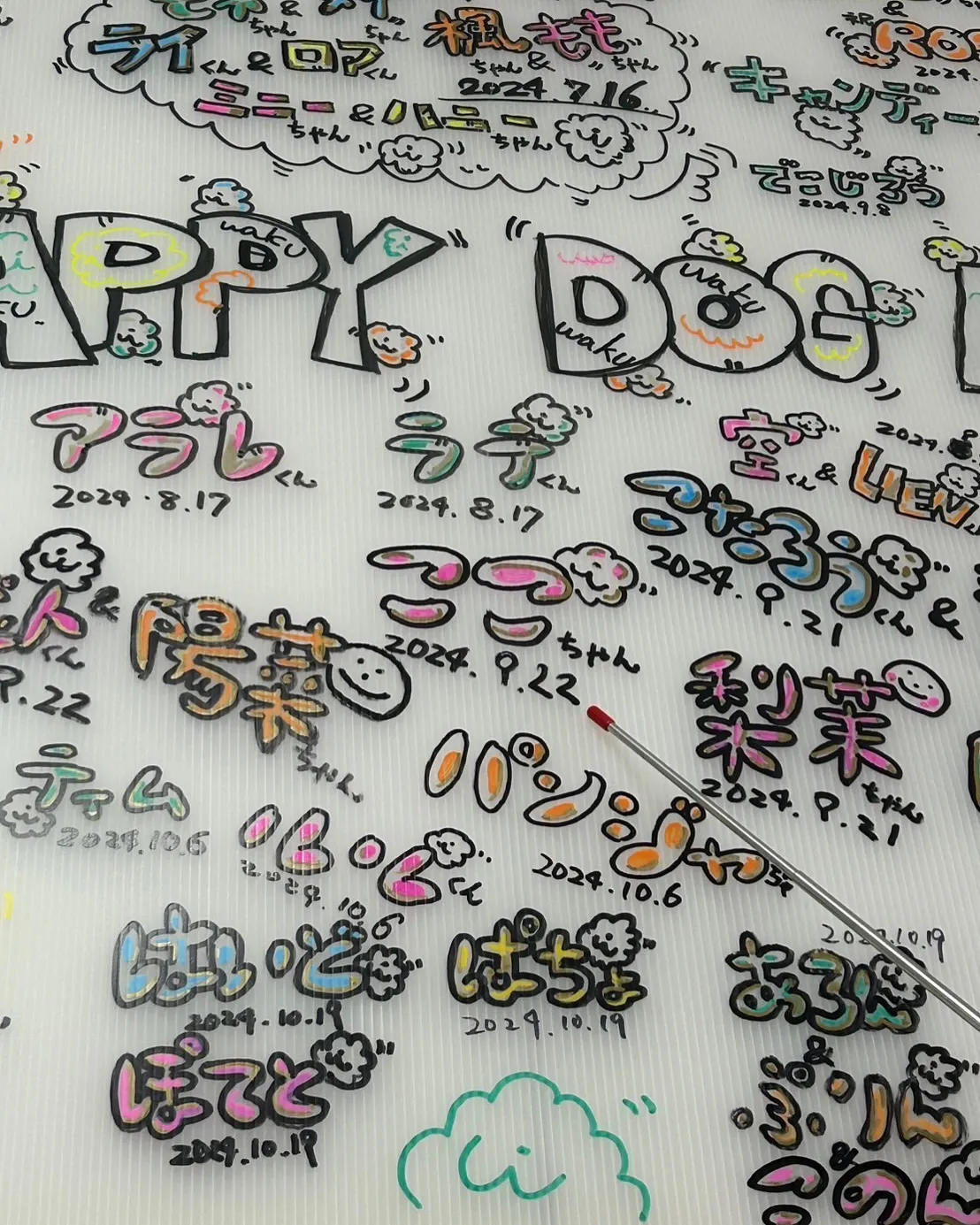 ここちゃんご来店💪お名前アート🎨見つけてくれたよー。