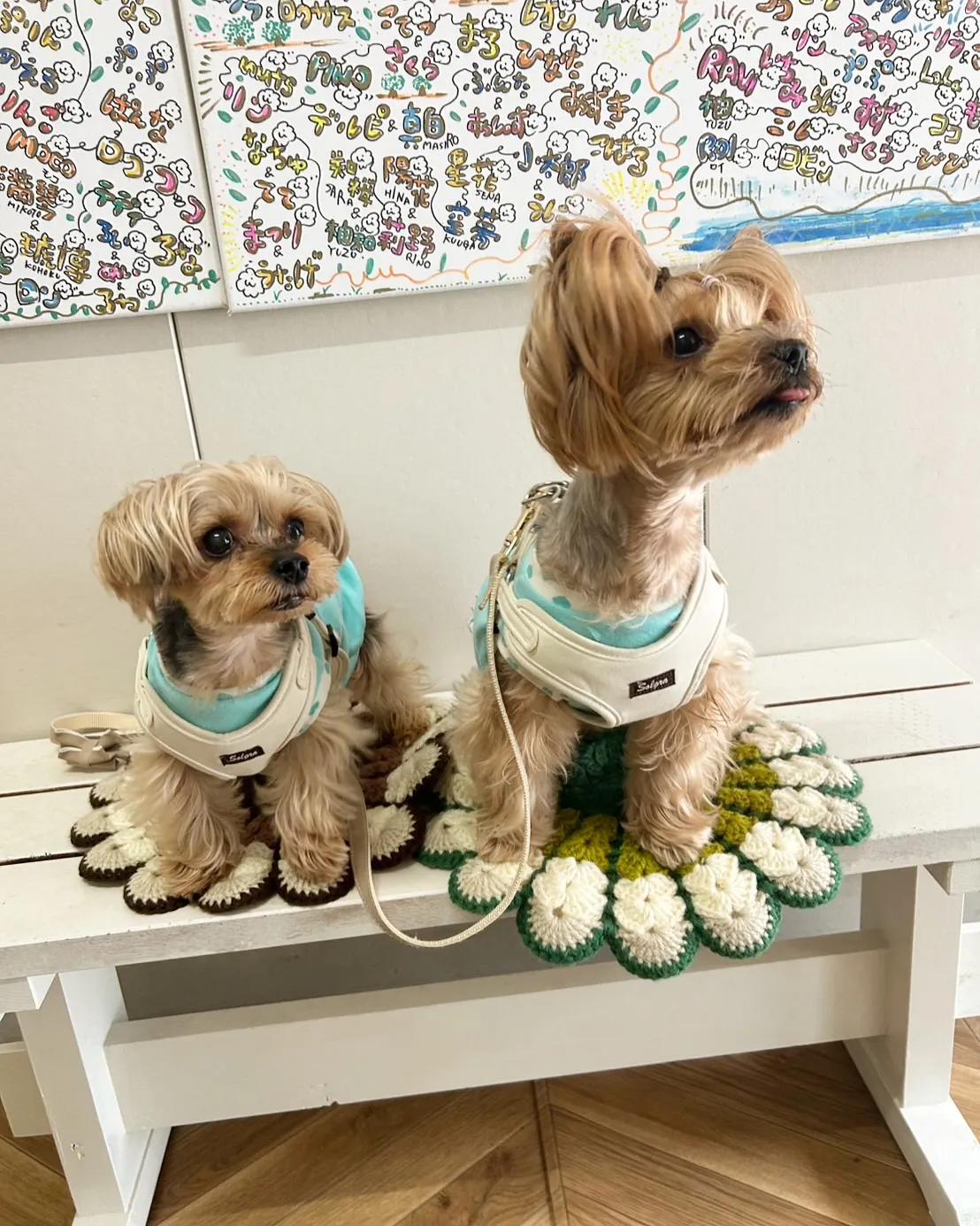 呂麦(ロム)くん&杏里結(アリス)ちゃん、はじめてのご来店♪