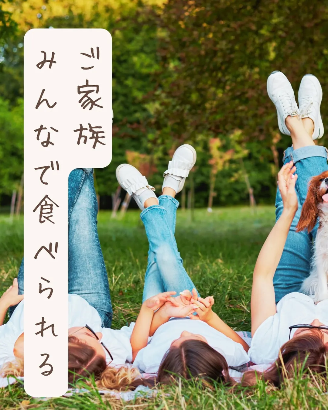 📣 イベント出店【プティシャンドッグフェス】