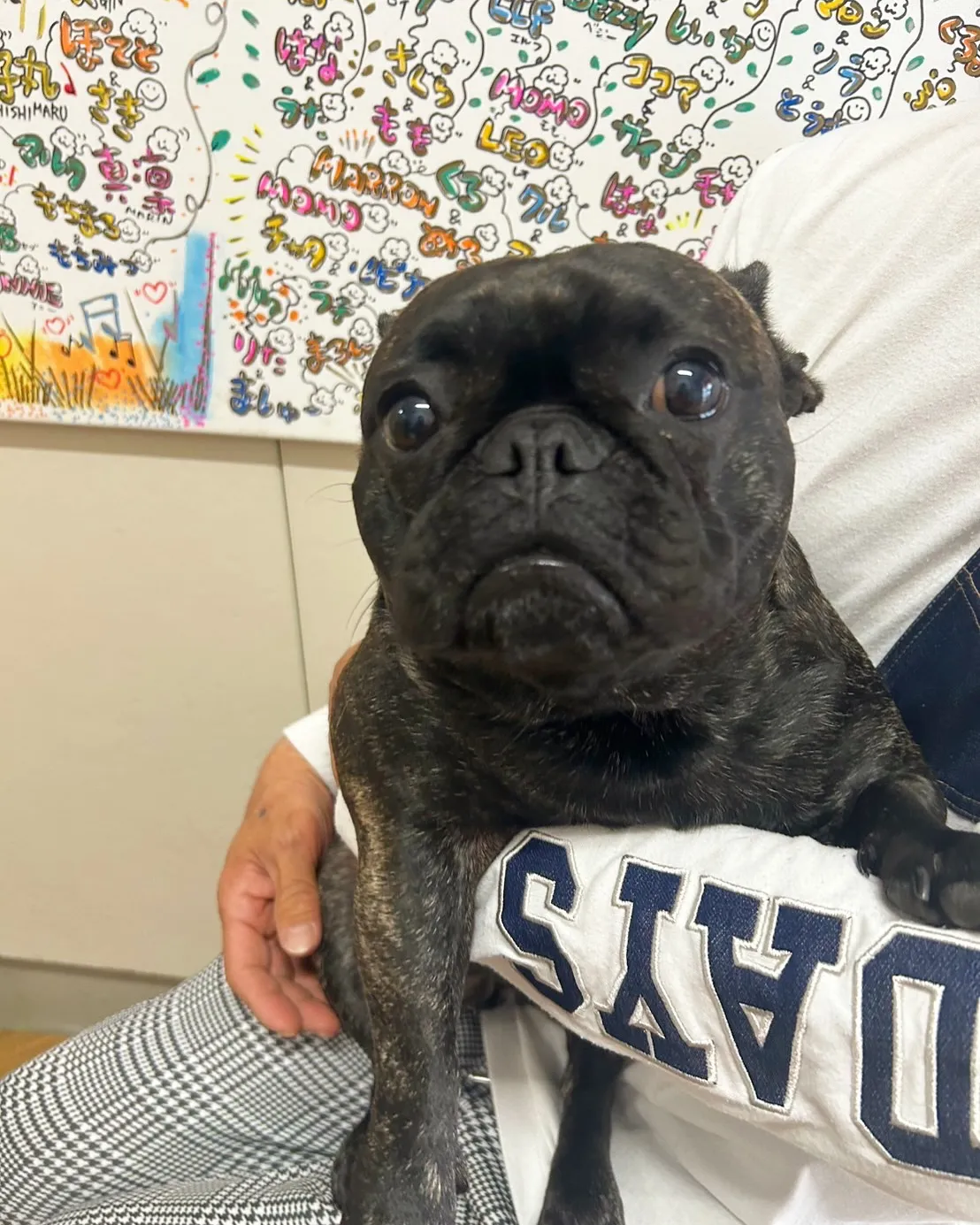 【トコタンはじめてのご来店♪】