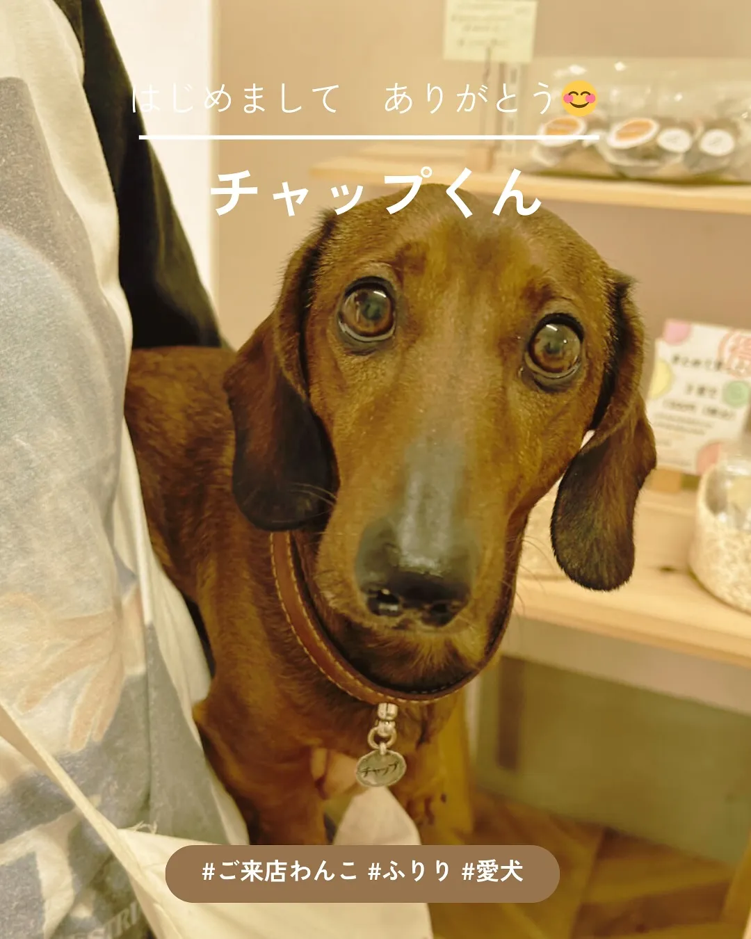 はじめてふりりに遊びに来てくれた