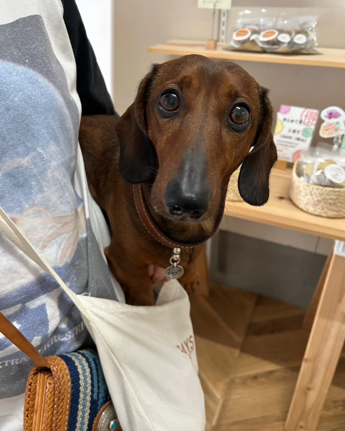 はじめてふりりに遊びに来てくれた