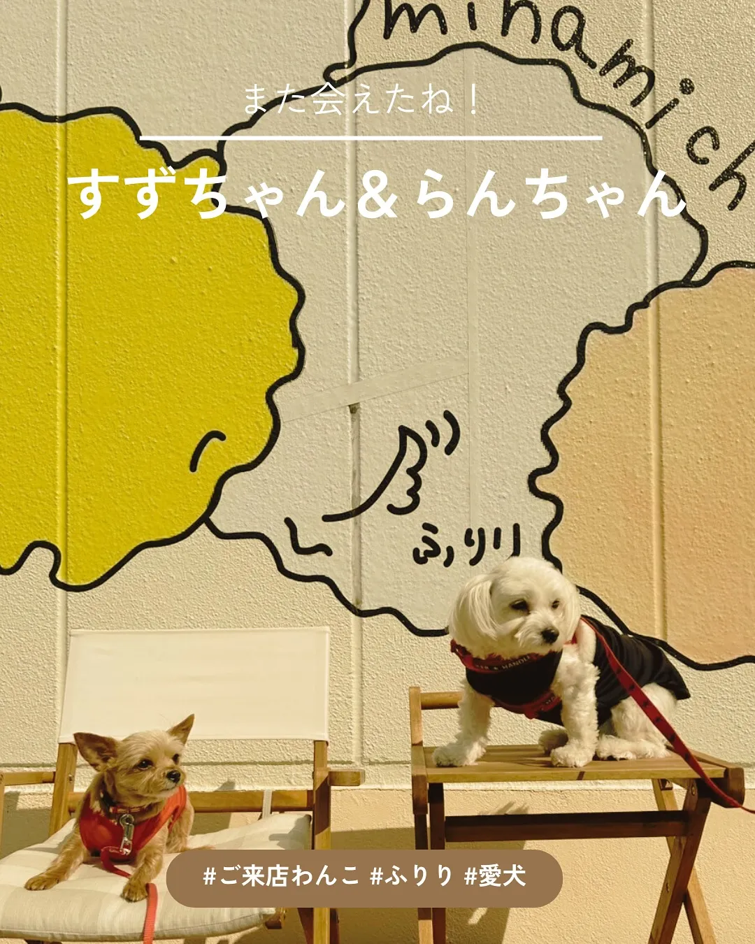 すずちゃん＆らんちゃん