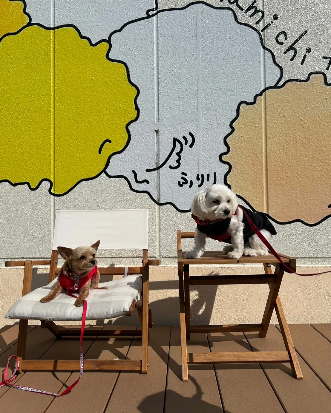 すずちゃん＆らんちゃん