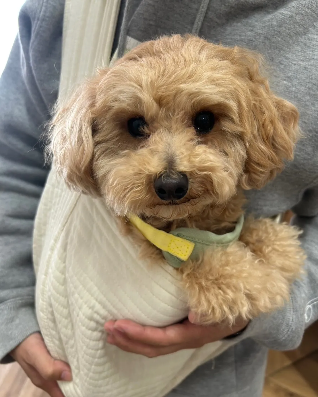 むぎくん、ご来店ありがとうございます！