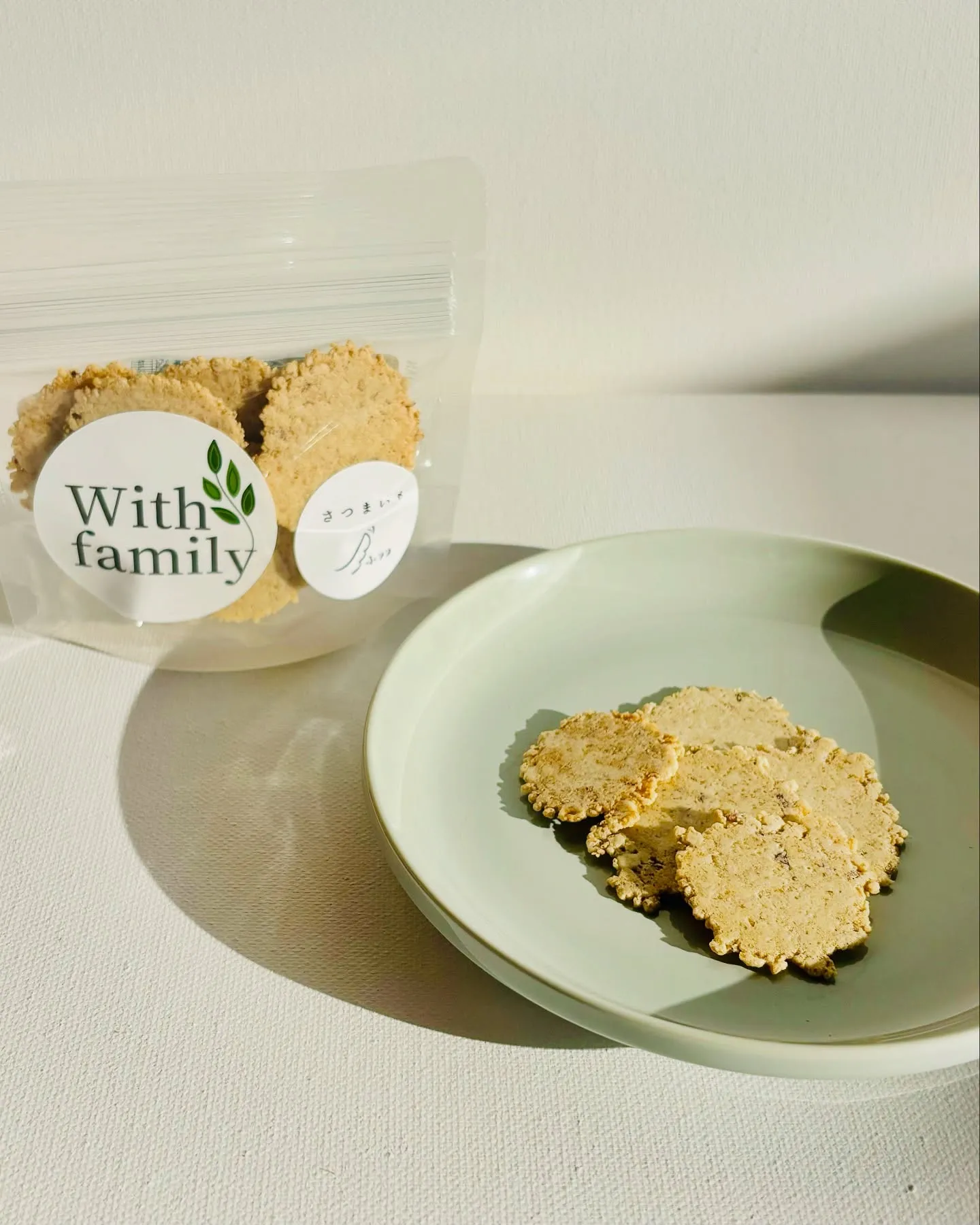 はじめましてのましゅくん（トイプードル）