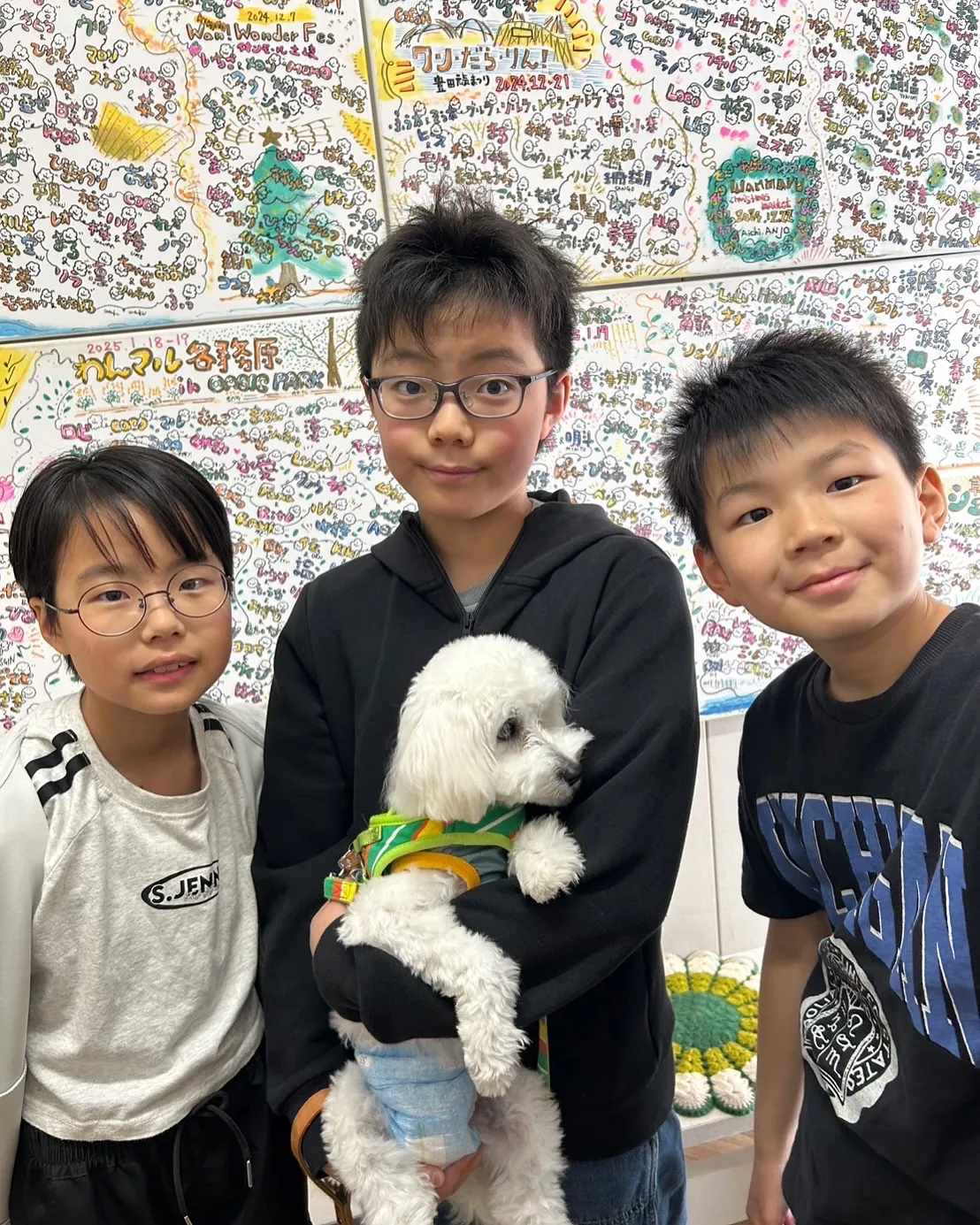 ばいくくん（ポメプー）7ヶ月