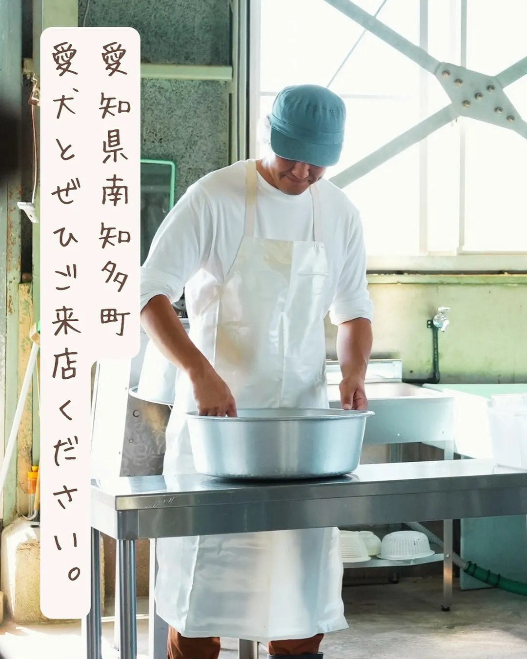 はじめまして ラックくん（トイプードル）