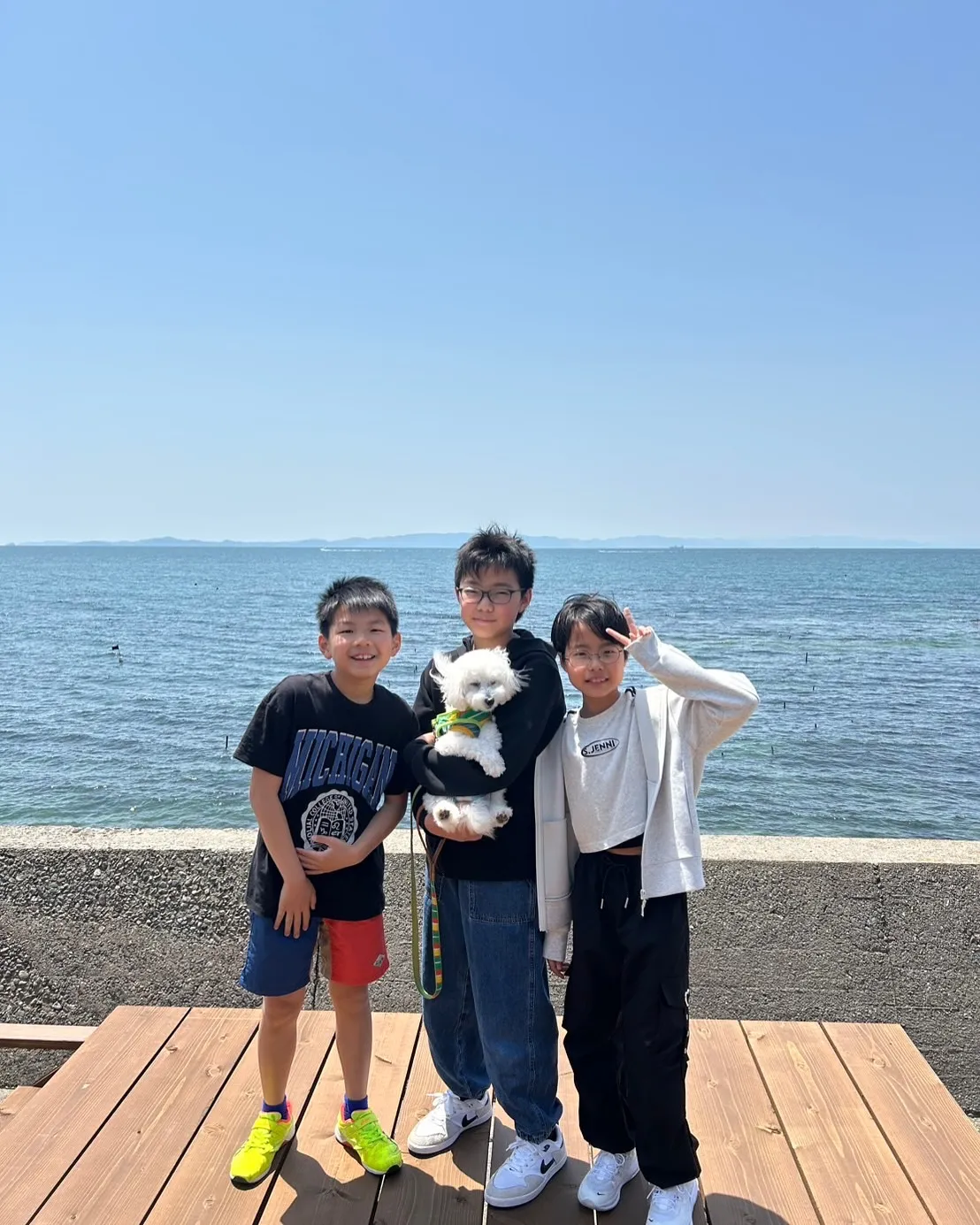 ばいくくん(ポメプー)7ヶ月