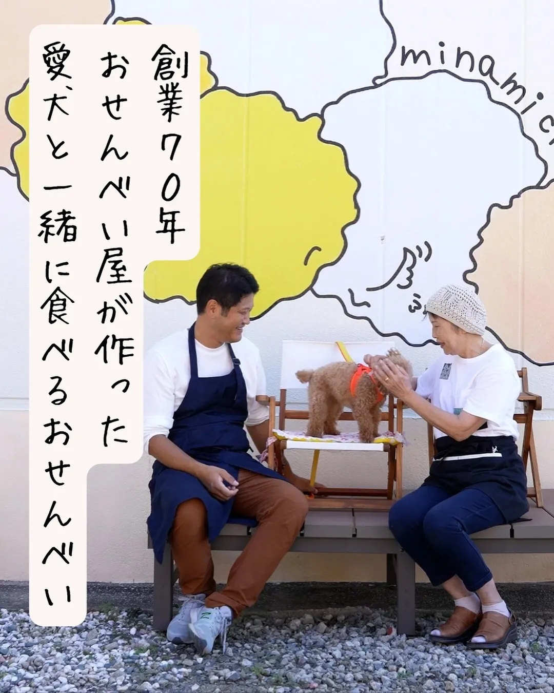 ばいくくん(ポメプー)7ヶ月