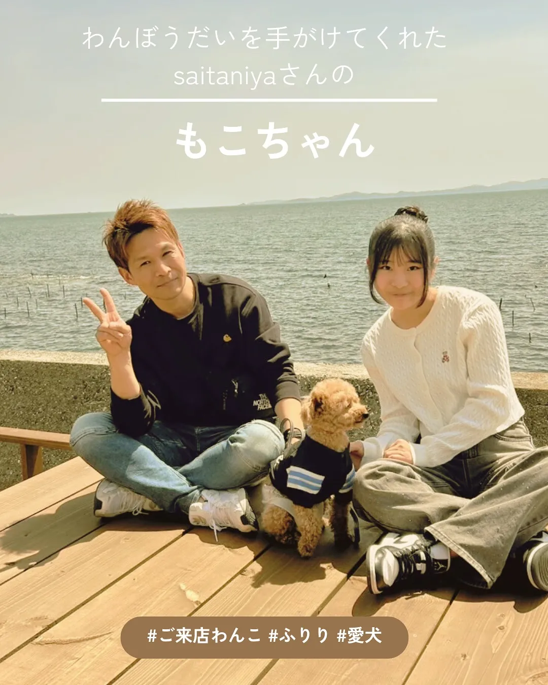 もこちゃん(トイプードル)