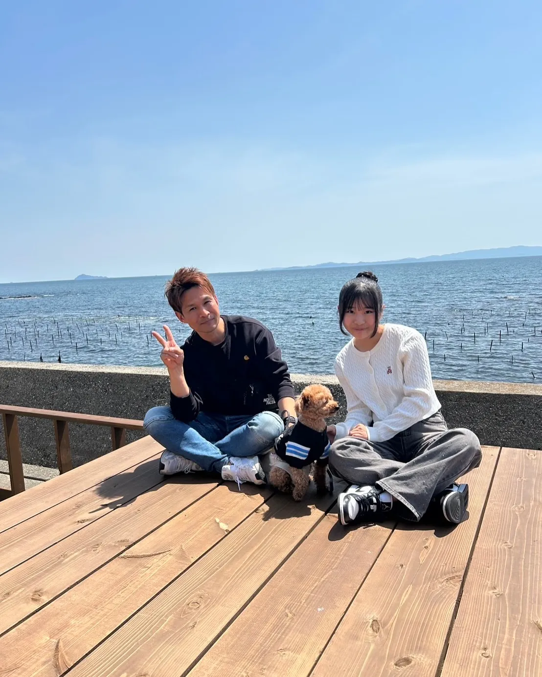 もこちゃん(トイプードル)