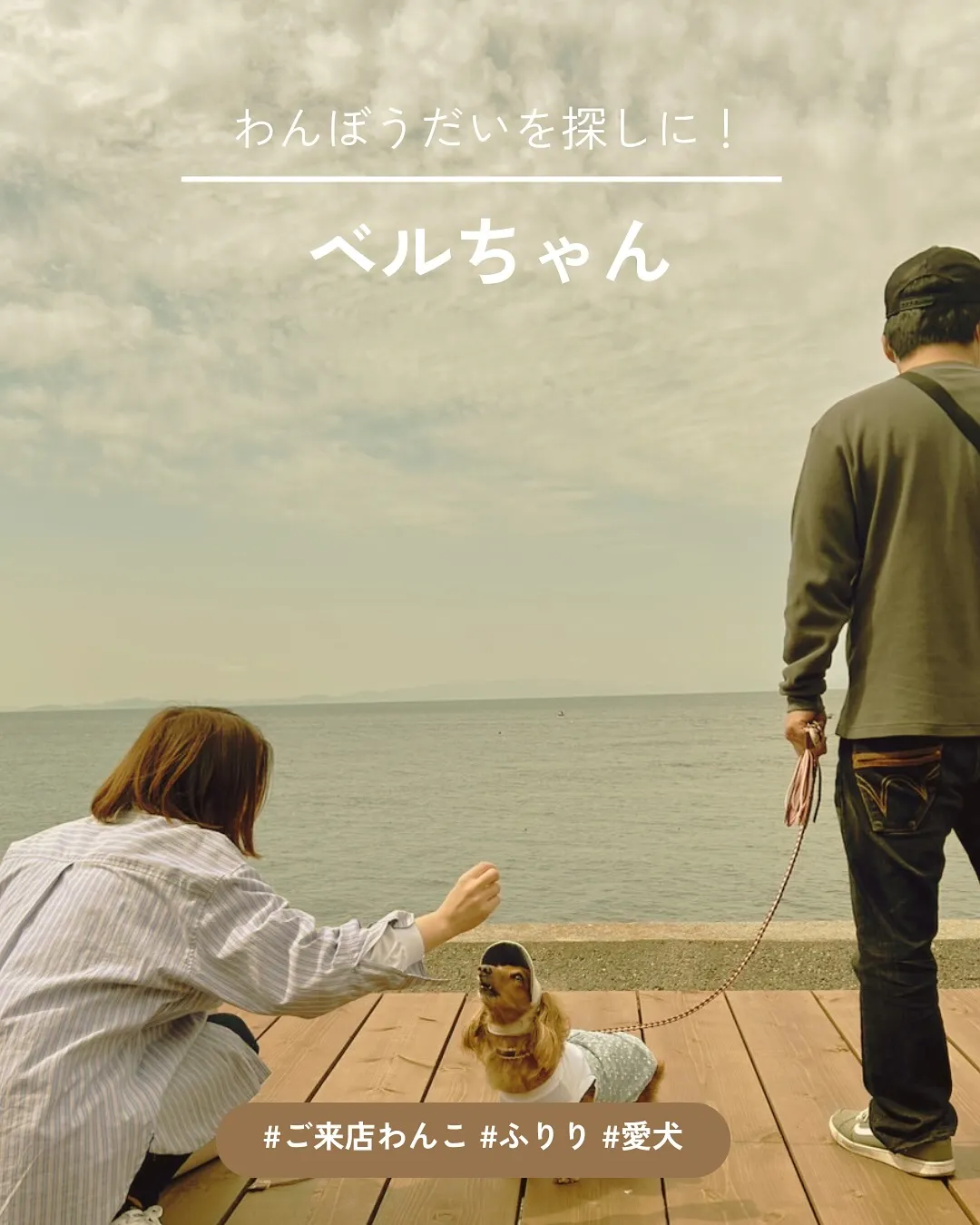 愛犬と一緒に楽しめる旅の思い出に、ベルちゃんが「ふりり」に初...