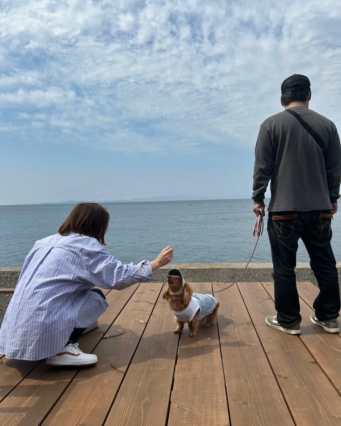 愛犬と一緒に楽しめる旅の思い出に、ベルちゃんが「ふりり」に初...