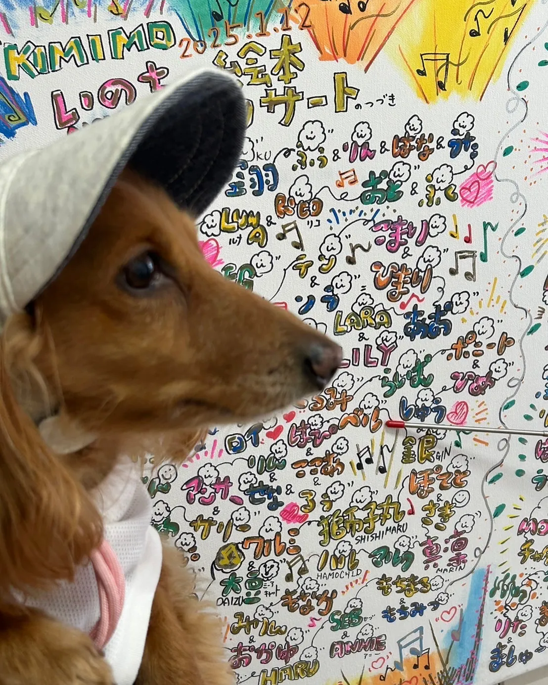 愛犬と一緒に楽しめる旅の思い出に、ベルちゃんが「ふりり」に初...