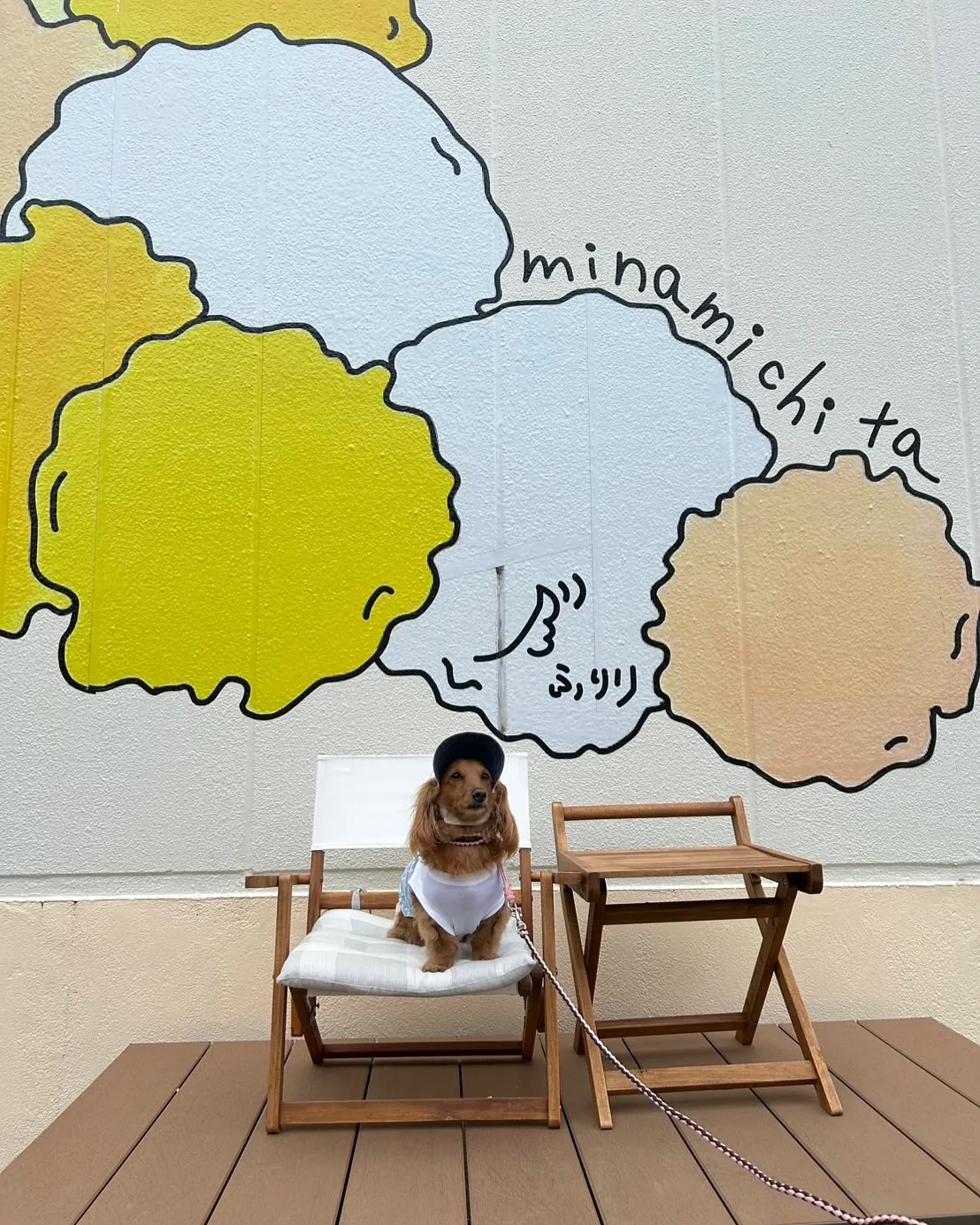 愛犬と一緒に楽しめる旅の思い出に、ベルちゃんが「ふりり」に初...