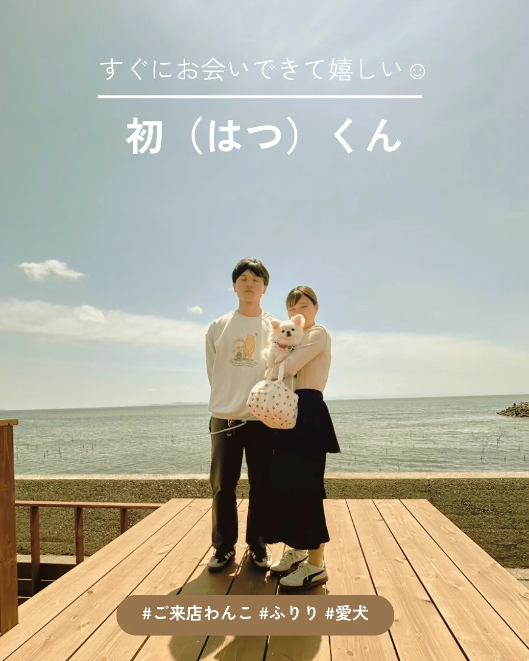 【しらすのおせんべい、初くん（ポメチワ）も気に入ってくれまし...