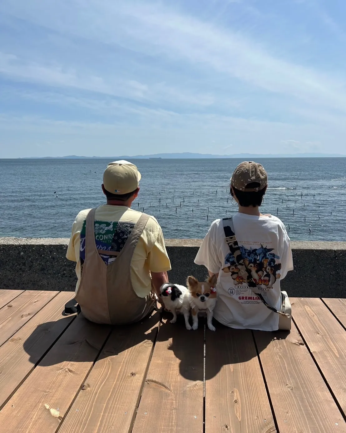 【まつりちゃん&うたげちゃん、ふりりのおせんべいに夢中!南知...