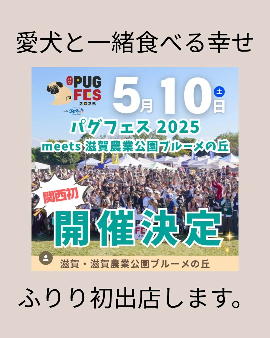 【パグ愛が集う日!ふりり、パグフェス初出店】
