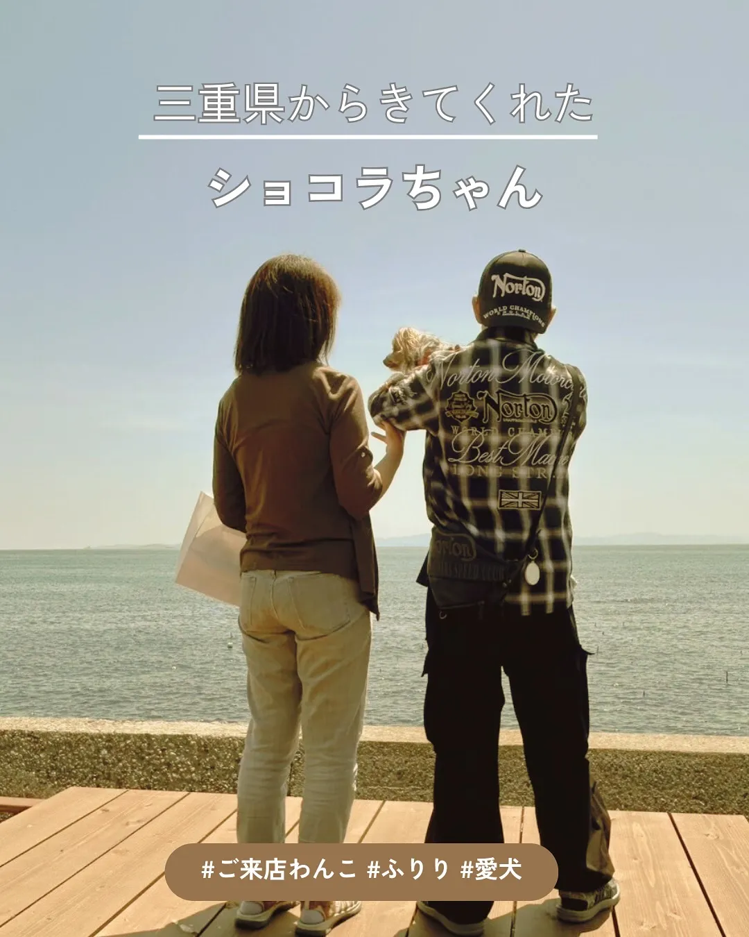 【ショコラちゃん|はじめてのご来店とふりり体験】